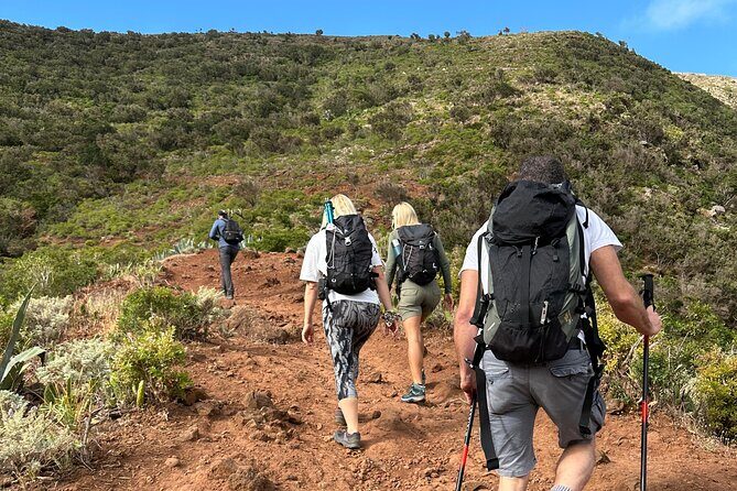 Tenerife: Hiking Tour in Anaga Mountains & Enchanted Forest - What Makes This Tour a Standout?