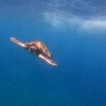 Tenerife: Kayak Sea Safari with Snorkel and Snacks - The Benefits of the Tour: Why It’s Worth It
