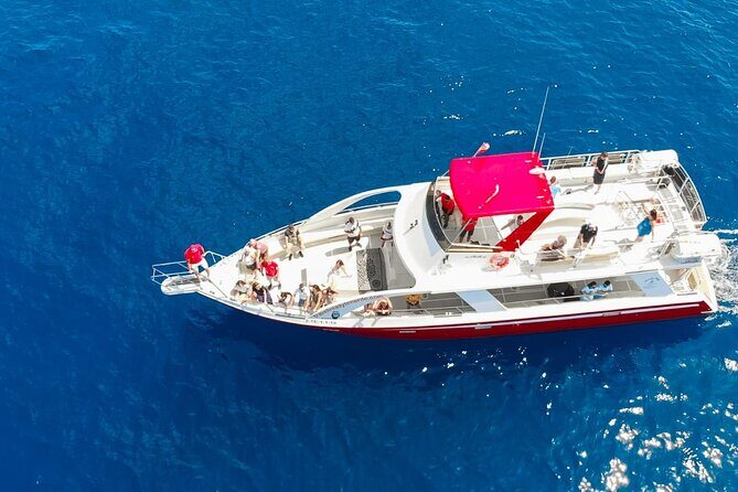Tenerife Los Cristianos: Whale and Dolphin Eco-Yacht and Swim Stop - How Well Does It Deliver on Value?