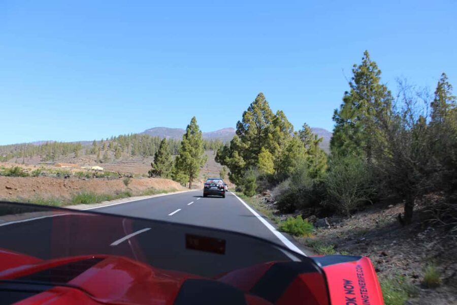 Tenerife: Pino Gordo Self-Drive Slingshot Tour - Authentic Experiences and Real-World Insights