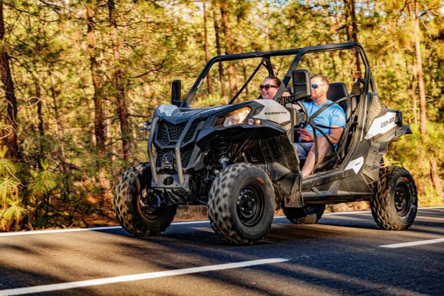 Tenerife: Teide Mountain Buggy On-Road GuidedTour with drink - The Driving Experience – Fun and Safety
