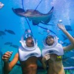 Tenerife: Underwater Walk - Sea Trek Experience - Why the Price Reflects Good Value
