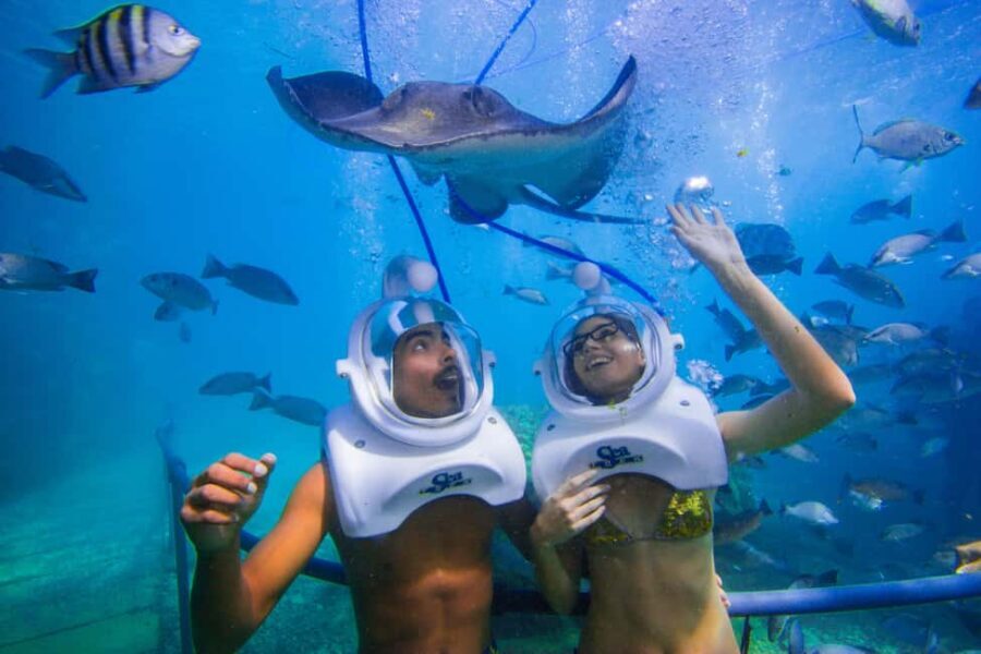 Tenerife: Underwater Walk - Sea Trek Experience - Why the Price Reflects Good Value