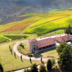 Tenuta Bonzara - Tour and wine tasting in the hills of Bologna - What Makes This Tour Stand Out?