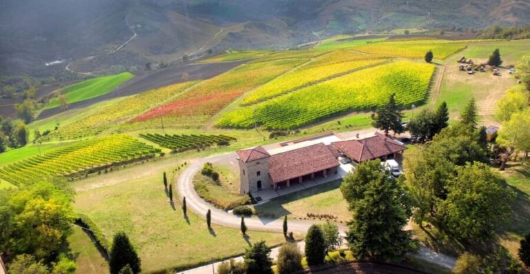 Tenuta Bonzara - Tour and wine tasting in the hills of Bologna - What Makes This Tour Stand Out?