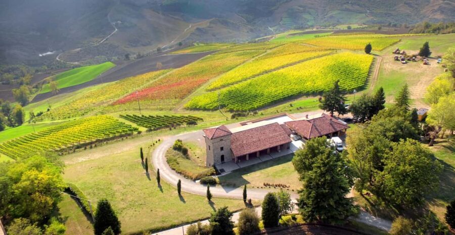 Tenuta Bonzara - Tour and wine tasting in the hills of Bologna - What Makes This Tour Stand Out?