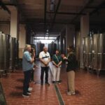 Tenute Girolamo: Winery Tour and Deluxe Tasting in the Itria Valley - Why You Should Consider This Tour