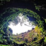 Terceira Island: Full Day Tour - Authentic Traveler Insights