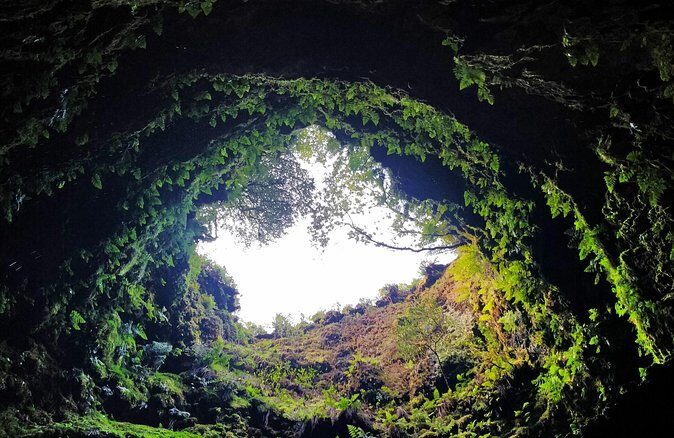 Terceira Island: Full Day Tour - Authentic Traveler Insights