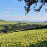Terceira Island: Passagem das Bestas Hike w/Cheese Tasting - Who Would Love This Tour?