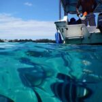 The Adventure East of Mauritius: 3-Watersport Activities & Blue-Bay Marine Park - Scenic and Cultural Stops