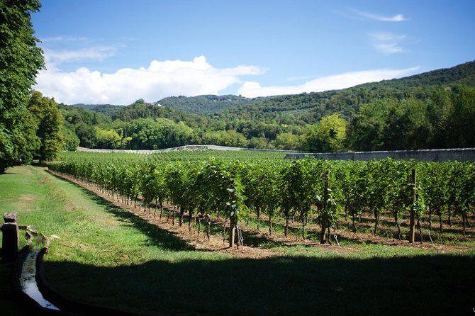 The Amarone Chateau guided tour and tasting in Valpolicella - Final Thoughts