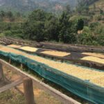 The Amazing Congo Nile Hiking & Biking Trail - Transportation, Timing, and Overall Value