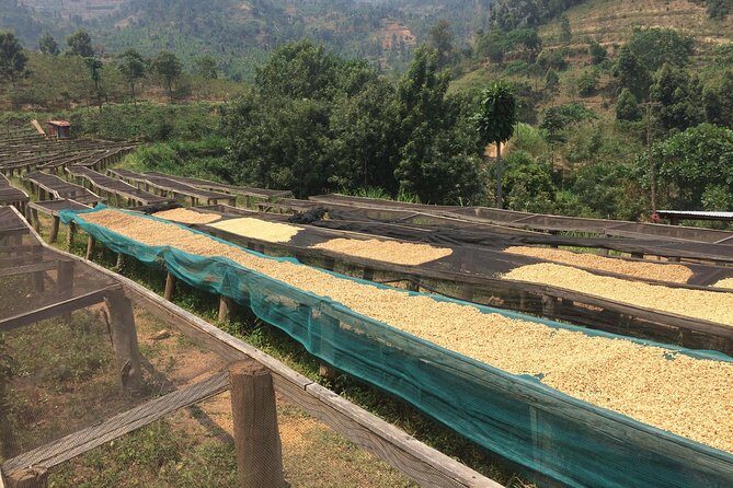 The Amazing Congo Nile Hiking & Biking Trail - Transportation, Timing, and Overall Value