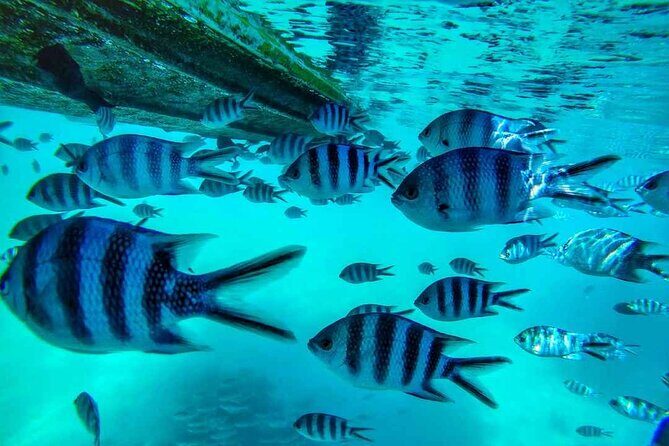 The beautiful East of Mauritius:incl Blue-Bay Marine Park, Crocodile park &Lunch - Final Thoughts