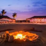 The Bedouin Desert Safari Experience - Who is This Tour Best For?
