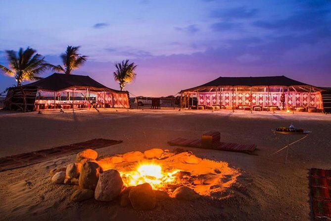 The Bedouin Desert Safari Experience - Who is This Tour Best For?