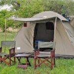 The Best 3Days Start from Mwanza to Serengeti' through Viator - Transportation & Logistics
