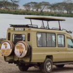 The Best and Most Affordable 4-Day Tanzania Budget Private Safari - What’s Included and What to Consider