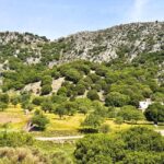 The Best Jeep Safari to Lasithi Plateau - Transportation, Duration, and Value