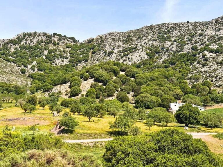 The Best Jeep Safari to Lasithi Plateau - Transportation, Duration, and Value