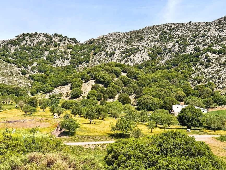 The Best Jeep Safari to Lasithi Plateau - Transportation, Duration, and Value