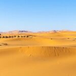 The best of Morocco 8 Days 7 night Private tours from Marrakech to Marrakech - Exploring the Itinerary in Detail
