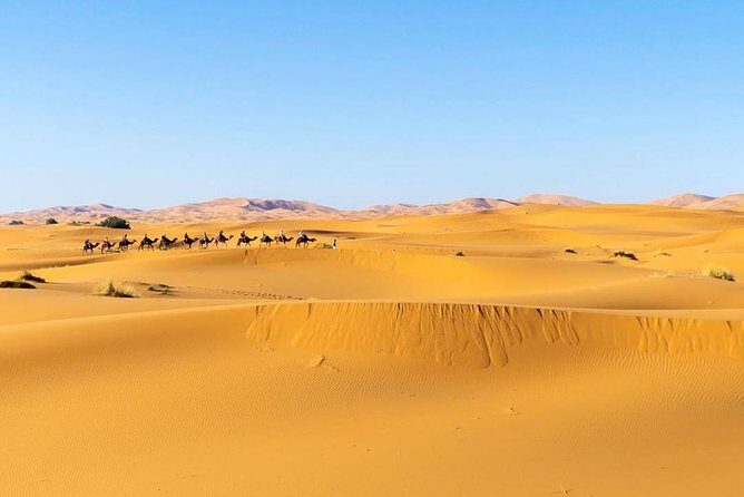 The best of Morocco 8 Days 7 night Private tours from Marrakech to Marrakech - Exploring the Itinerary in Detail