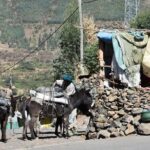The Best way to Discover Addis Ababa - The Value of the Tour