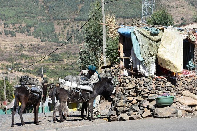 The Best way to Discover Addis Ababa - The Value of the Tour