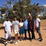 The Charms of Essaouira Mogador and the Argan tree Forests - The Value Proposition