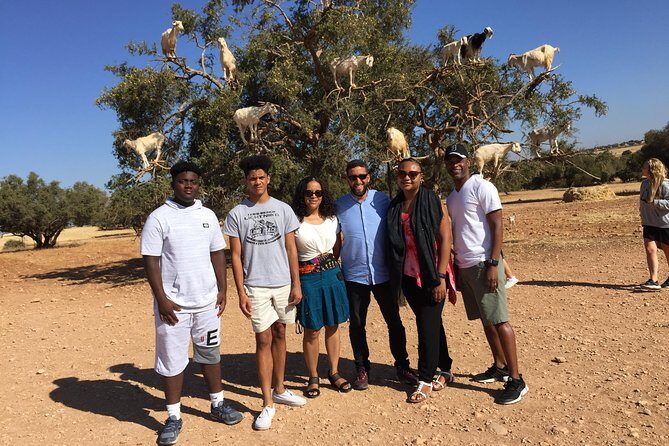 The Charms of Essaouira Mogador and the Argan tree Forests - The Value Proposition
