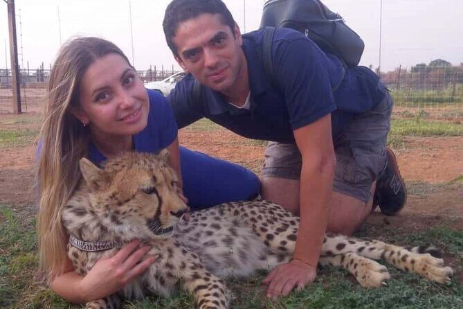 The Cheetah Experience - The Itinerary: What Can You Expect?