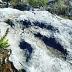 The Earth Remembers: SUV Tour in Serras de Aire e Candeeiros - What Travelers Love and Should Consider