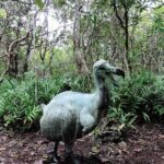 The East of Mauritius: Full-day incl visit to Ile aux Aigrettes & Lunch - Why This Tour Is Worth It