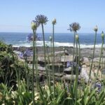 The Garden Route from Port Elizabeth to The Crags - FD07 - An In-Depth Look at the Itinerary