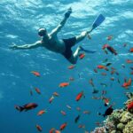 The Giftun Island Orange Sea Excursion from Hurghada - FAQ
