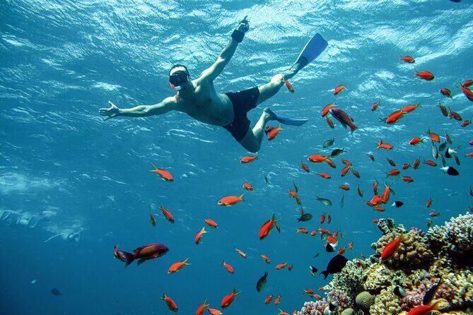 The Giftun Island Orange Sea Excursion from Hurghada - FAQ