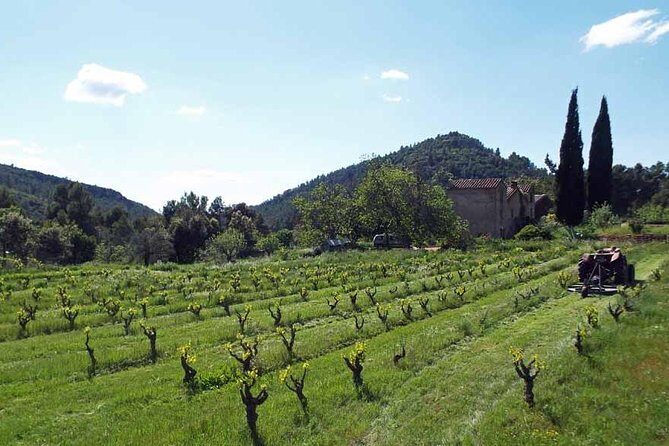 The Grape Escape! Cycling in Beautiful Scenery with Wine Tasting - Why This Tour Stands Out