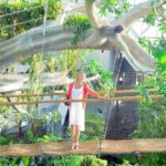 The Green Planet Dubai with Options - Practical Details and Tips
