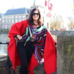The Hague: History & Architecture Walk - What Makes This Tour Stand Out?