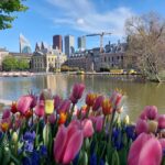 The Hague Private City Tour with an Architect - What You Can Expect from the Tour