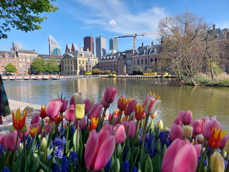 The Hague Private City Tour with an Architect - What You Can Expect from the Tour