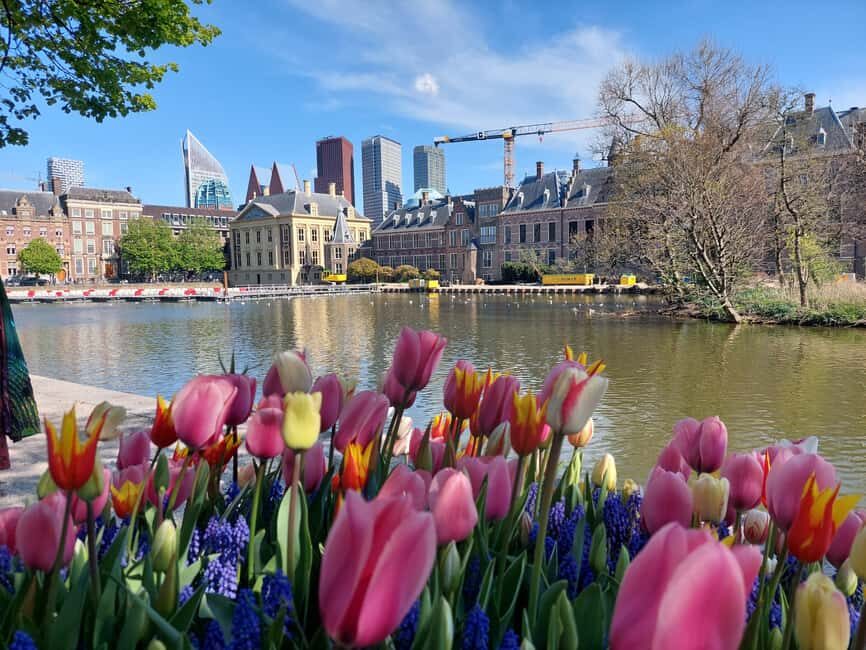 The Hague Private City Tour with an Architect - What You Can Expect from the Tour