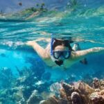 The Jewel of Muscat Sea, Daymaniyat Islands - Optional Sightings and Coastal Views