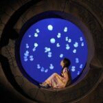 The Lost Chambers Aquarium - Price and Value
