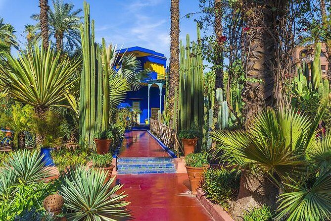 The Majorelle Garden with ticket and the palm grove on camelback - Is This Tour Worth It?