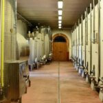 The Memories of the Count - AGED AND SUPERTUSCAN WINE TASTING - Practical Details and What Makes It Valuable