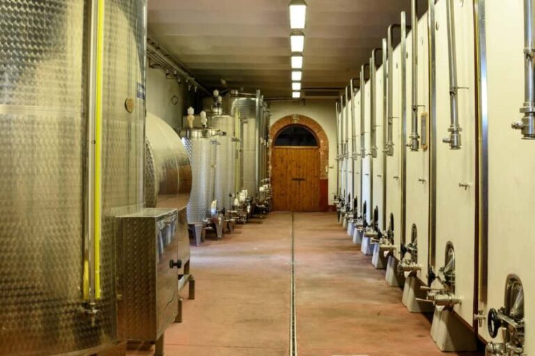 The Memories of the Count - AGED AND SUPERTUSCAN WINE TASTING - Practical Details and What Makes It Valuable