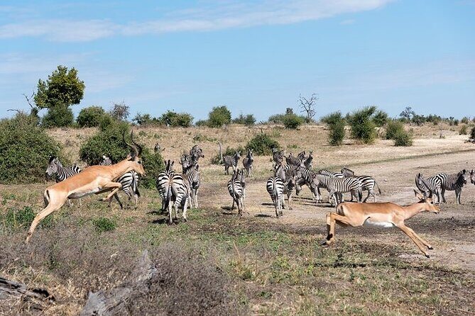 The Mosi oa Tunya National Park Game Drive - Transportation and Group Size